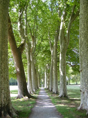 canal_des_deux_mers_381