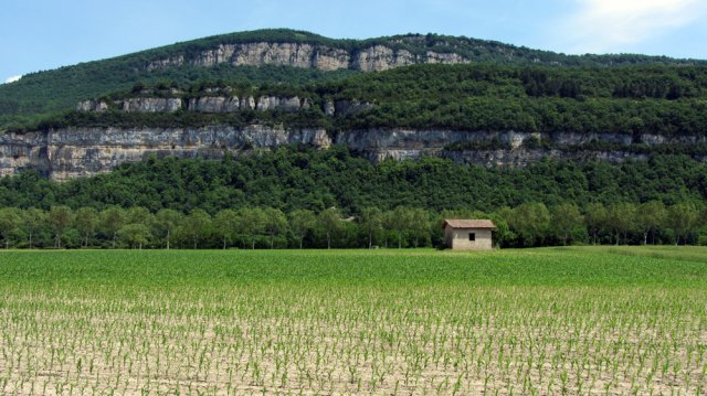 05-31-Hieres-11-0041-Ile-de-Saint-Verand