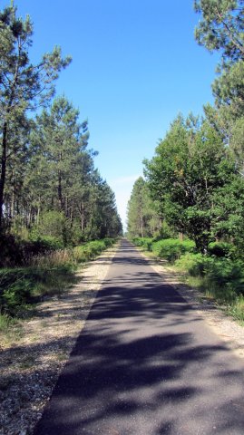 06-27-Biganos-38-0020-La-Gare