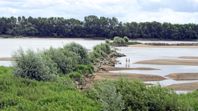 07-15-Ancenis-56-0039-Mauves-sur-Loire