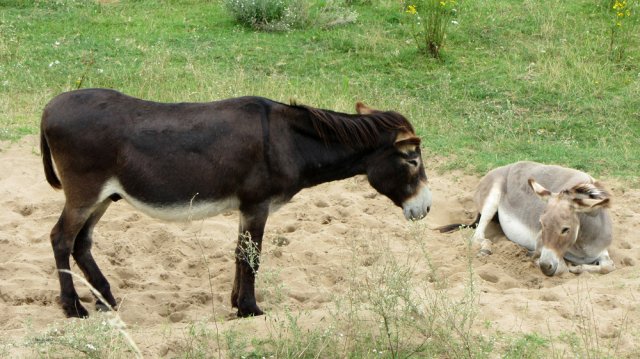 07-30-LaCharity-71-0167-Herry