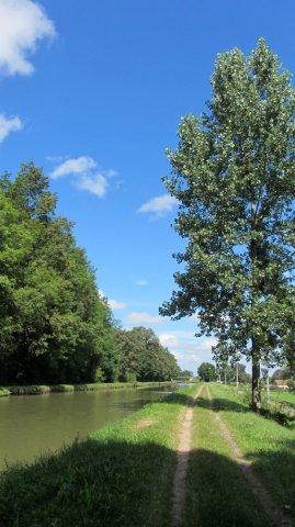 08-03-Diou-75-0046-St-Martin-des-Leis