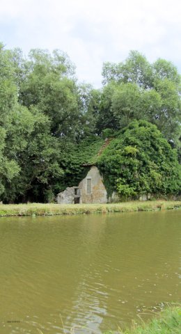 08-05-Chalon-77-0344-Rully