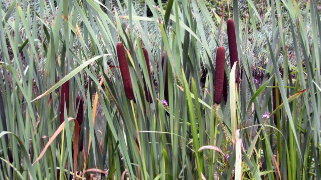 08-05-Chalon-77-0382-Chalon
