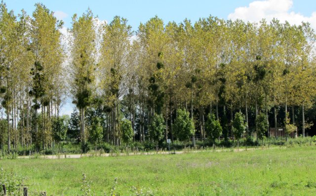 08-07-Dole-79-0089-St-Symphorien