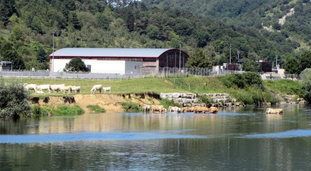 08-08-Besancon-80-0172-Arguel